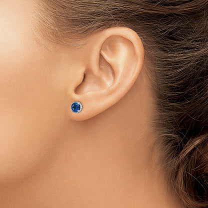 Diamond and Sapphire Post Earrings — photo set