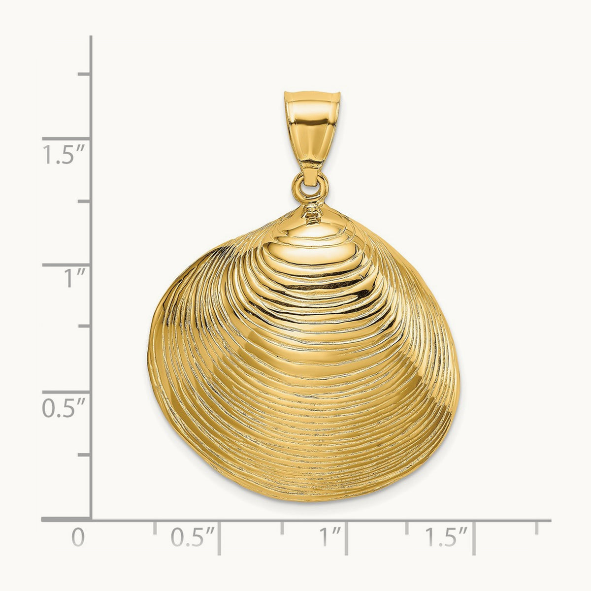 Textured Clam Shell Charm — 41mm