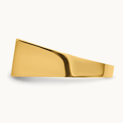 16.5x8. Closed Back Mens Signet Ring, 0mm, 14K