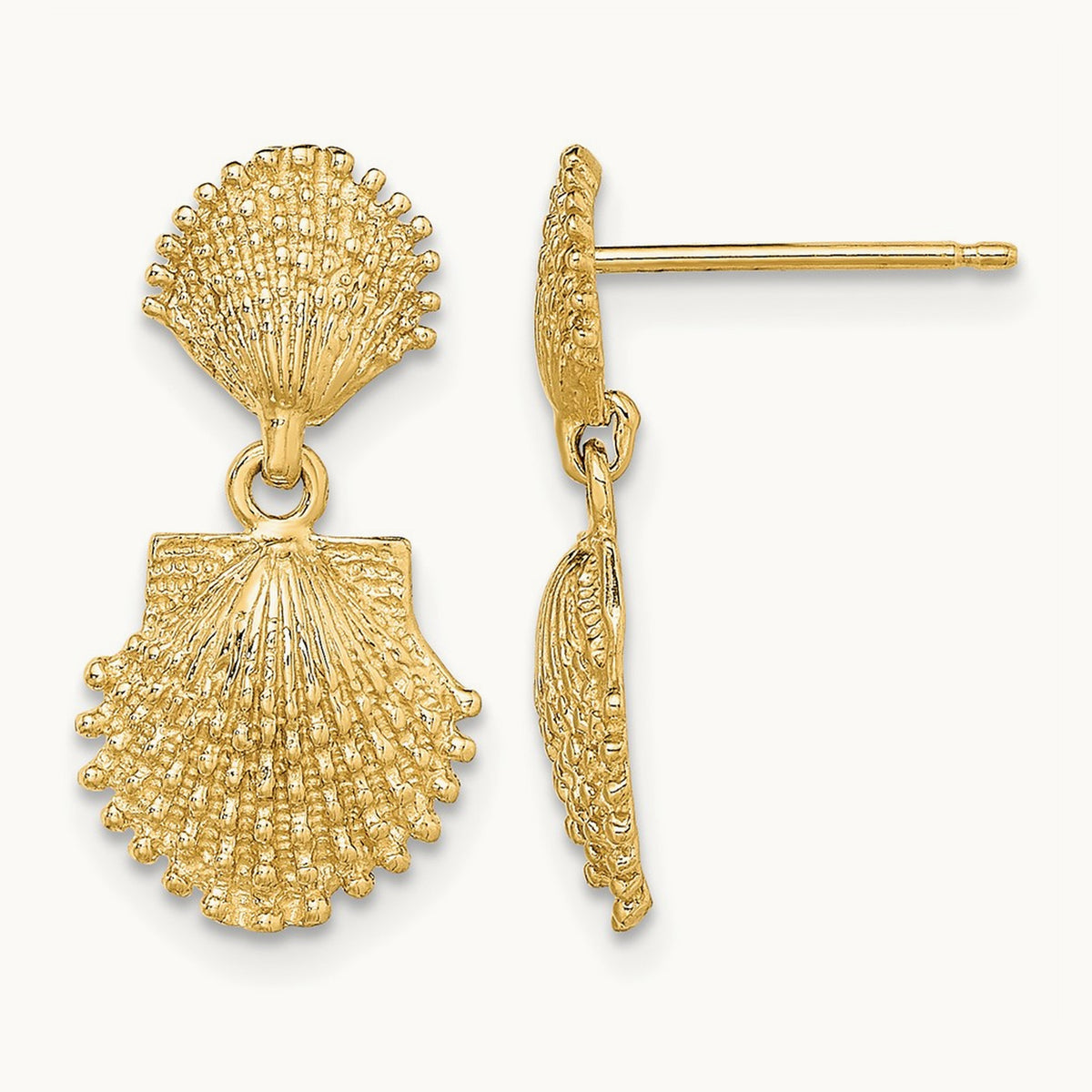 Double Beaded Scallop Shell Dangle Earrings, 14K