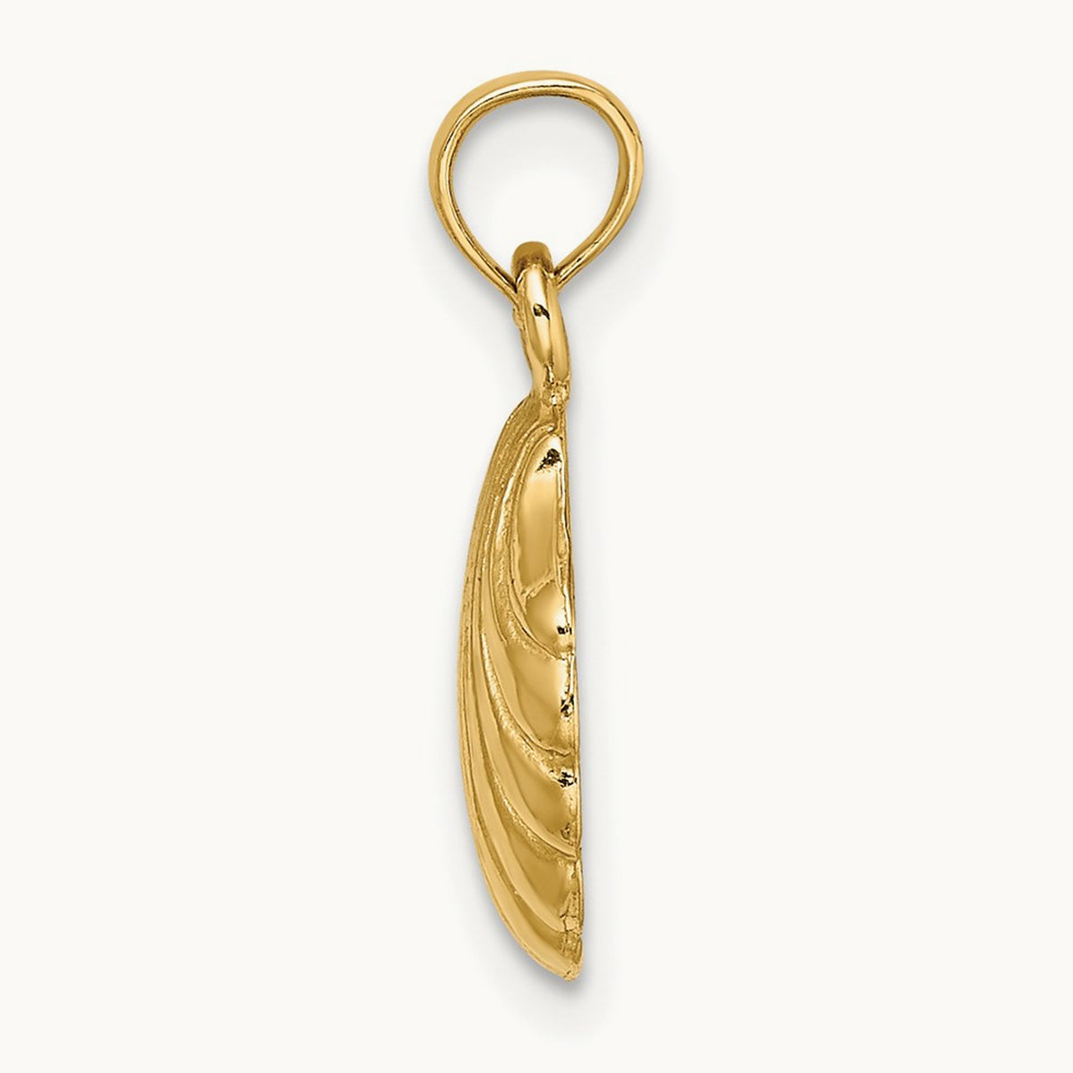 Polished Scallop Shell Charm — 19mm