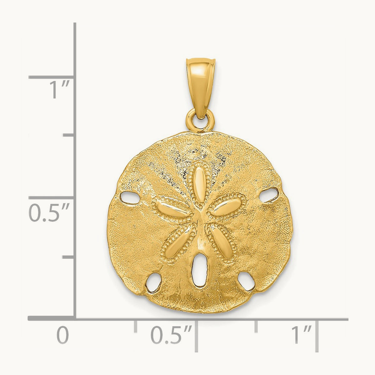 Polished Sand Dollar Charm — 14K Yellow Gold, 27mm