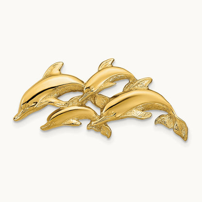 Dolphins Slide, 14K