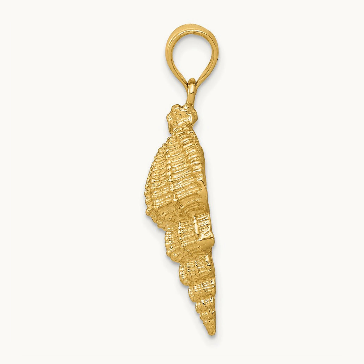 Conch Shell Pendant — photo set