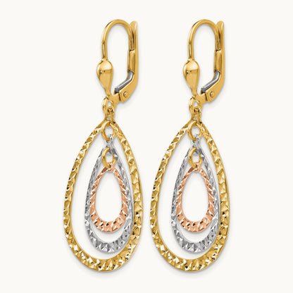 Tri-color Polished and D/C Leverback Earrings, 14K — Leslie's