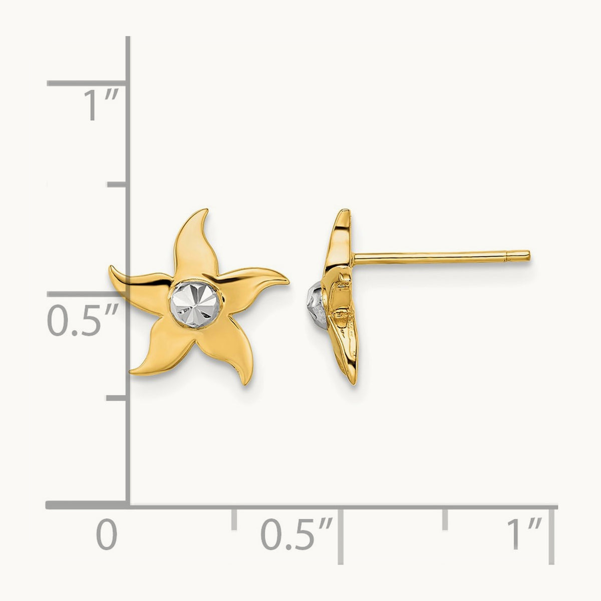 w/ Starfish Post Earrings — photo set