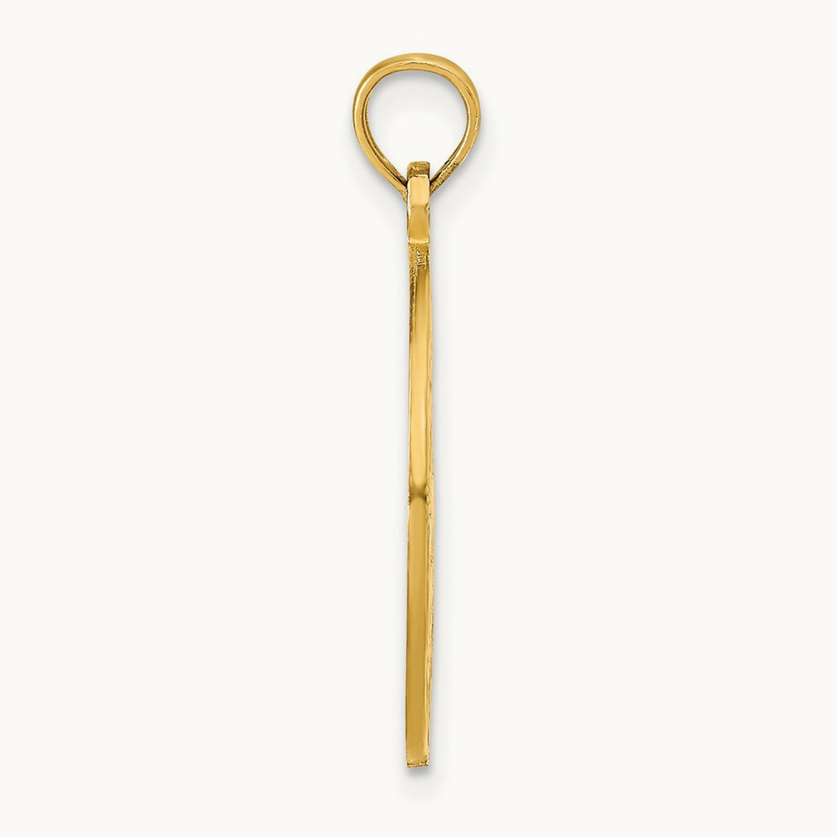 OCEAN CITY w/Dolphins Pendant, 14K