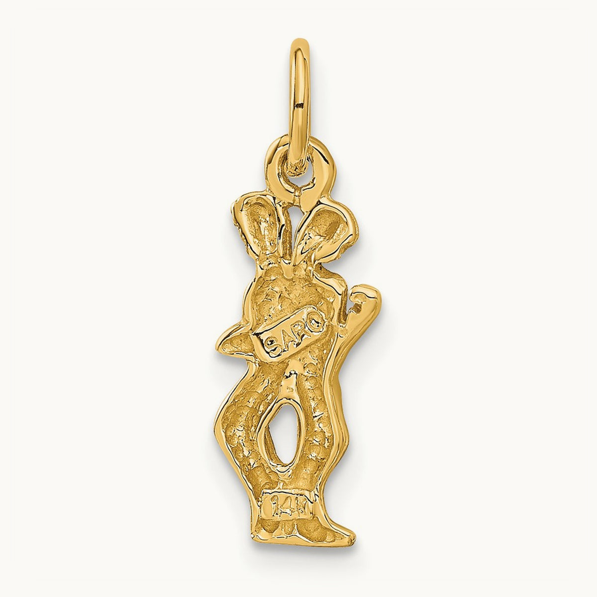 Satin Diamond-cut Gemini Zodiac Charm — photo set