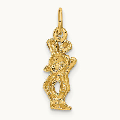 Satin Diamond-cut Gemini Zodiac Charm — photo set