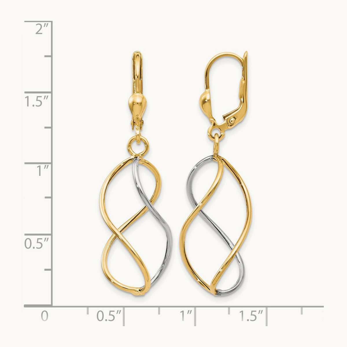 Leslie's with Polished Leverback Earrings — photo set