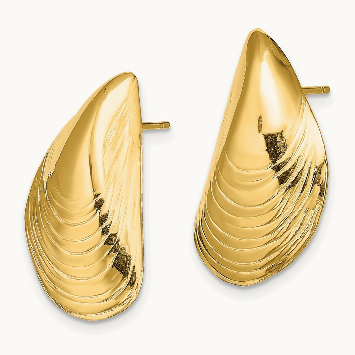 Polished Mussel Shell Post Earrings, 14K