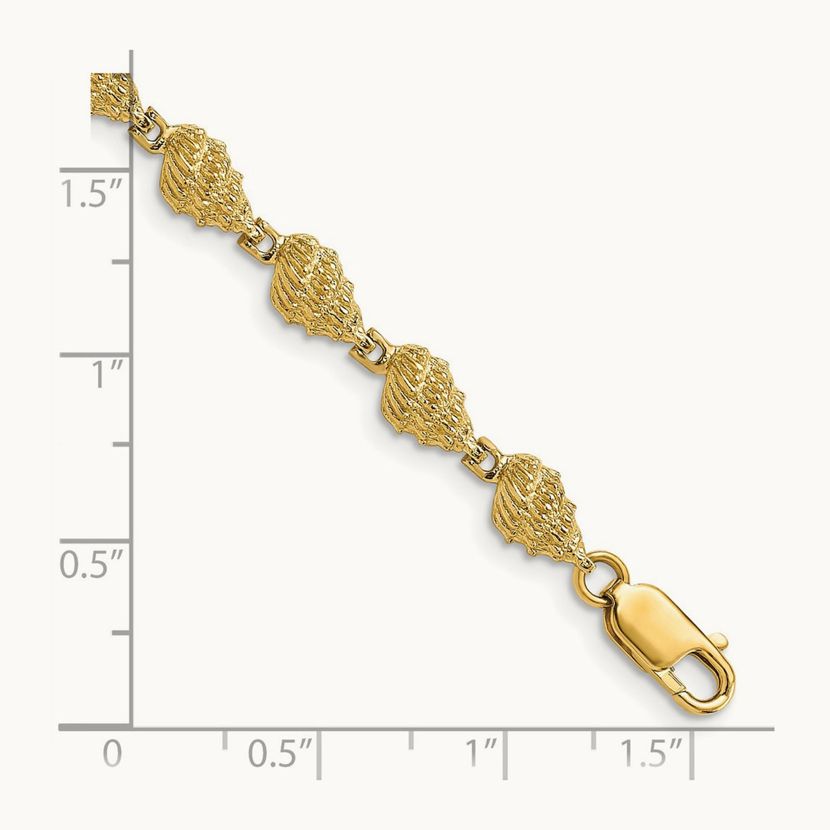 Conch Shell Bracelet — 7mm