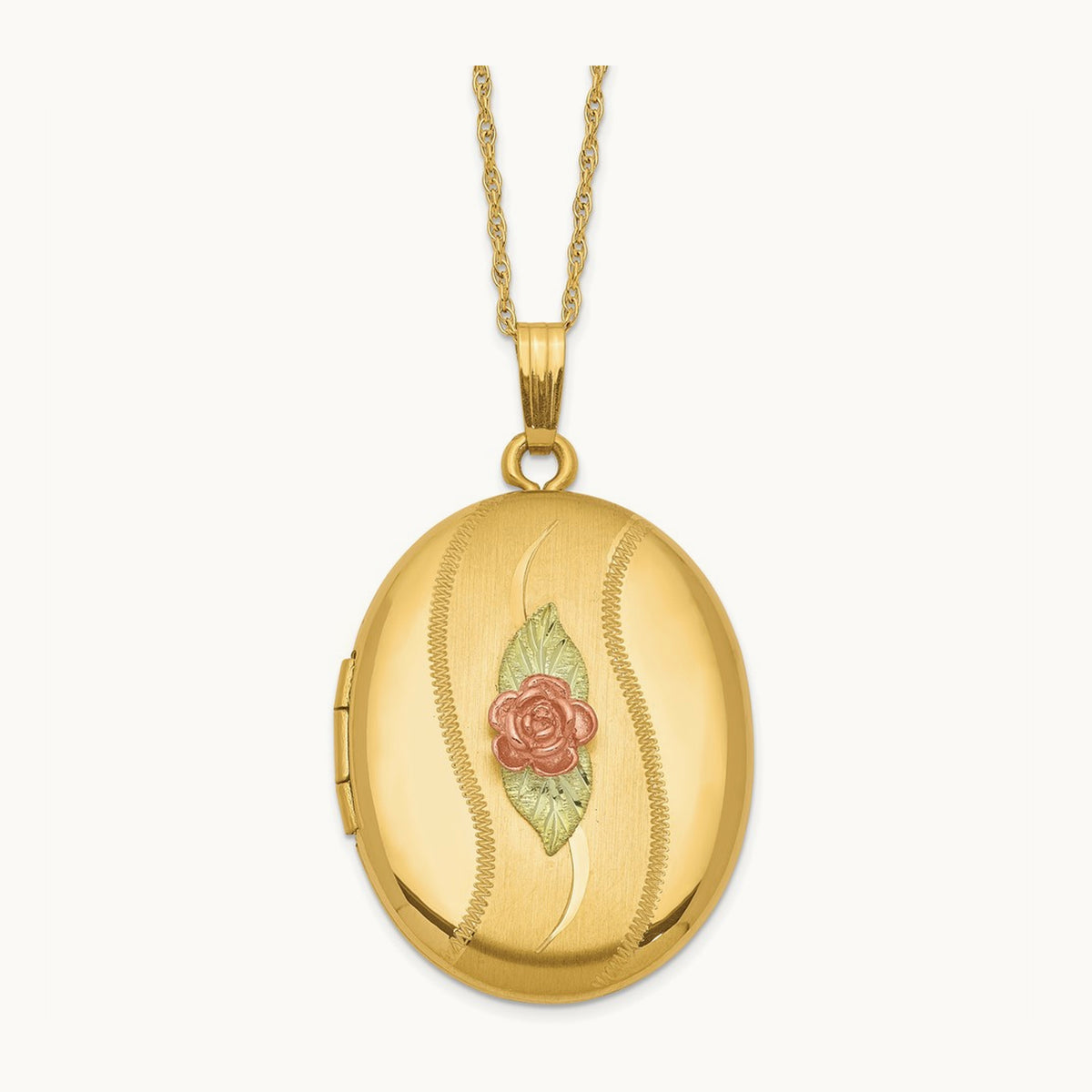With 12k Accents and Gold-filled Chain Black Hills Locket