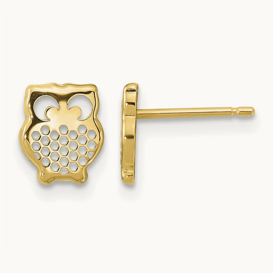 Textured Owl Post Earrings, 14K Gold