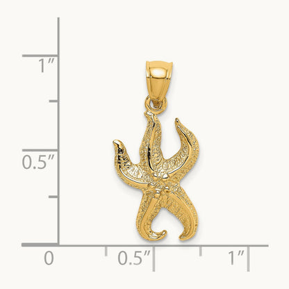 Textured Starfish Charm — photo set