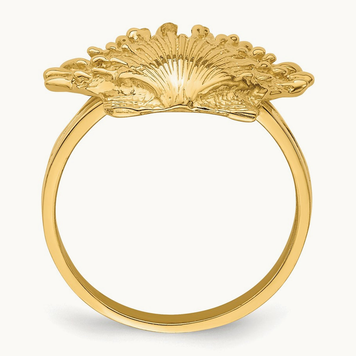 Lion's Paw Shell Ring, 14K