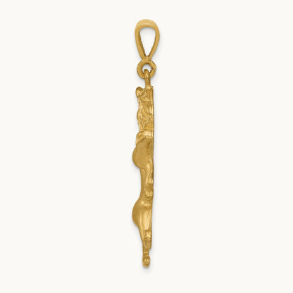 Satin Diamond-cut Leo Zodiac Charm — photo set