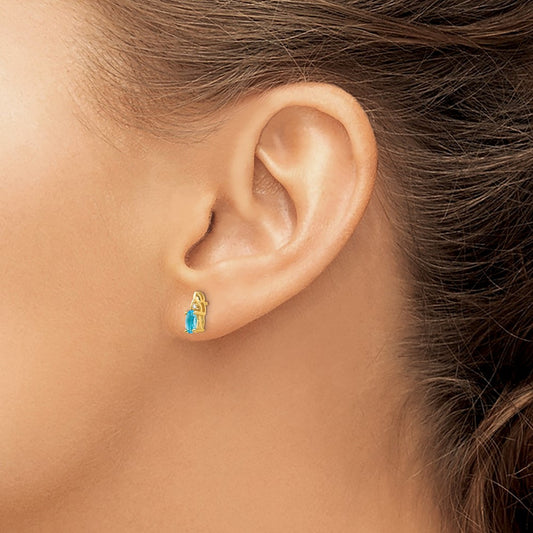 Blue Topaz and Diamond Earrings — photo set