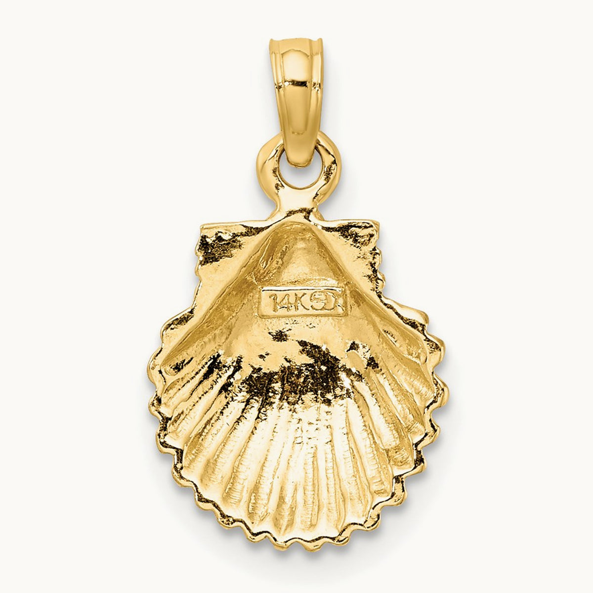 Polished Scallop Shell Charm — 22mm