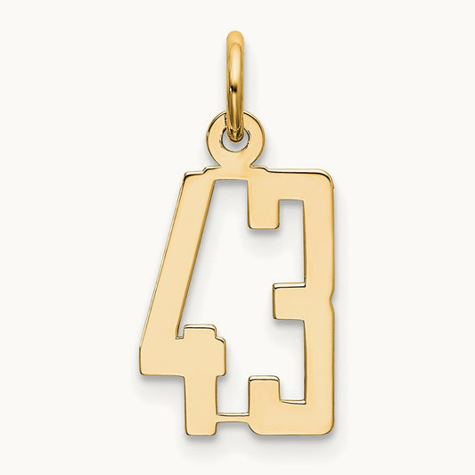 Small Elongated Number 43 Charm, 14K
