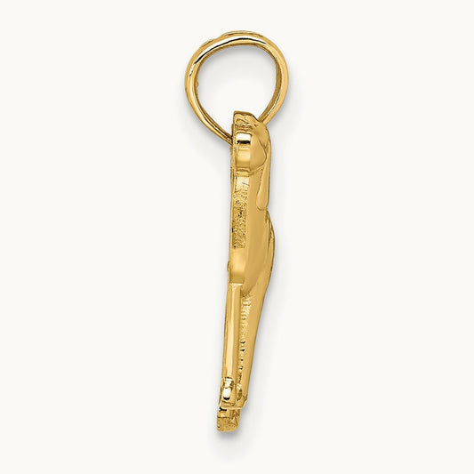 Polished Dog Charm — photo set