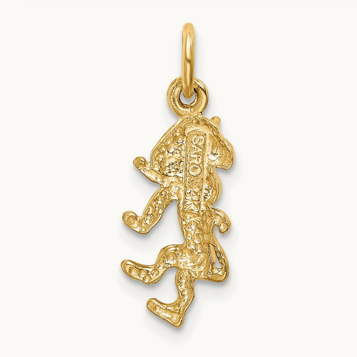 Satin Diamond-cut Leo Zodiac Charm — photo set