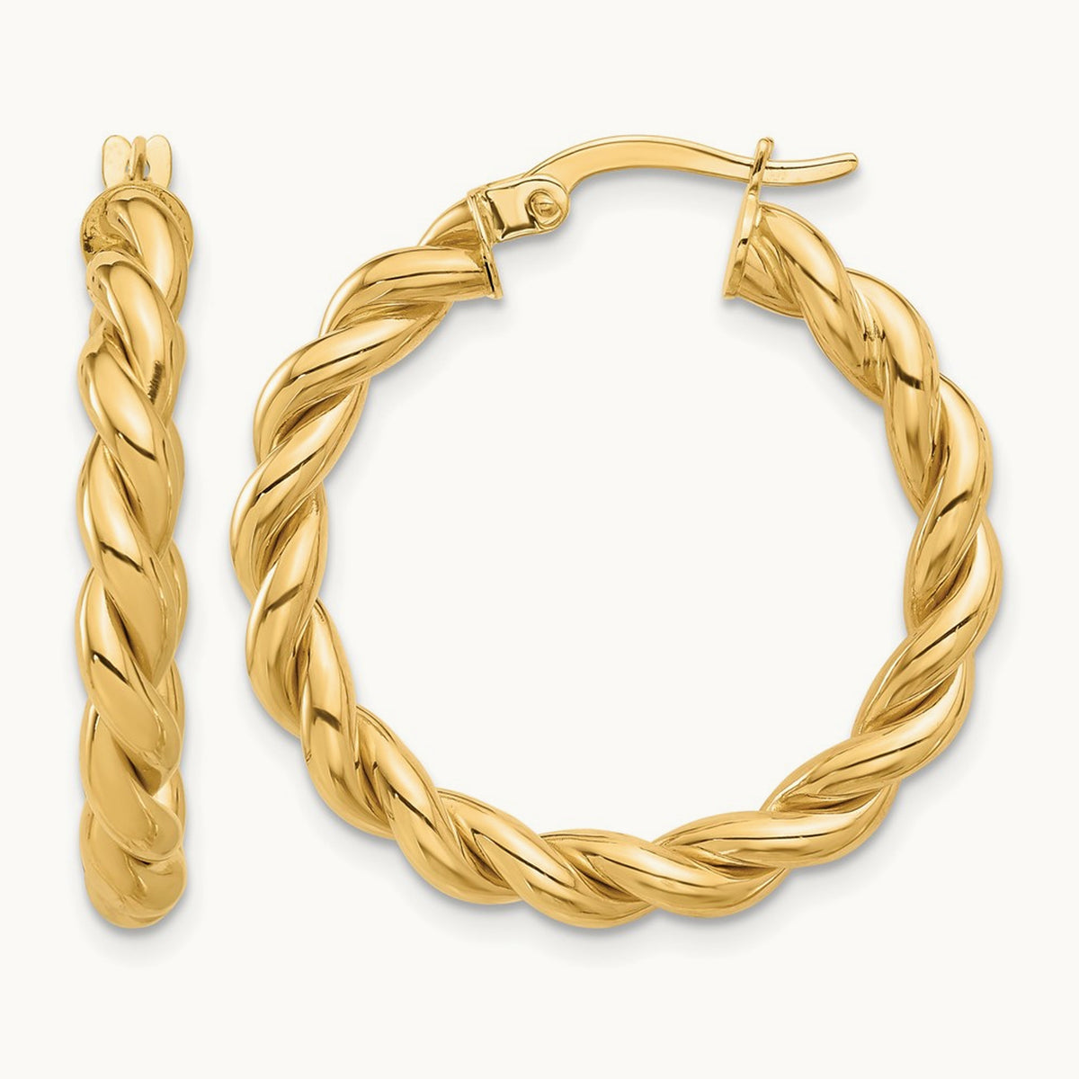 Polished Twisted Hoop Earrings — photo set
