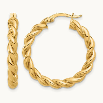 Polished Twisted Hoop Earrings — photo set