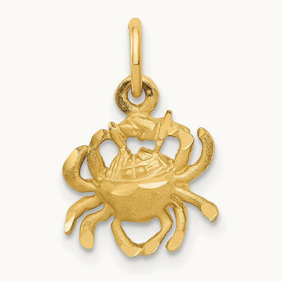 Satin Diamond-cut Cancer Zodiac Charm — photo set