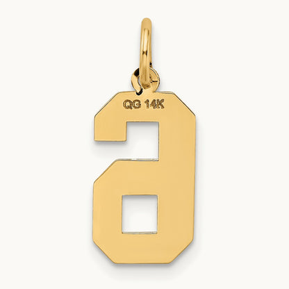 Medium Satin Number 6 Charm — 14K Yellow Gold