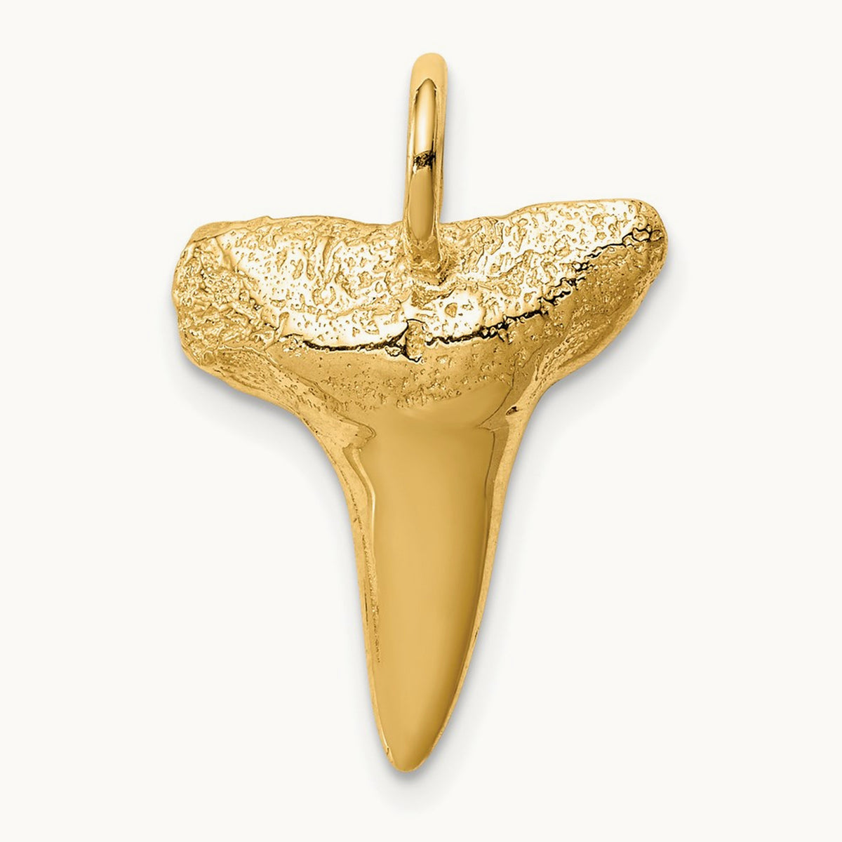 Shark Tooth Pendant, 14K