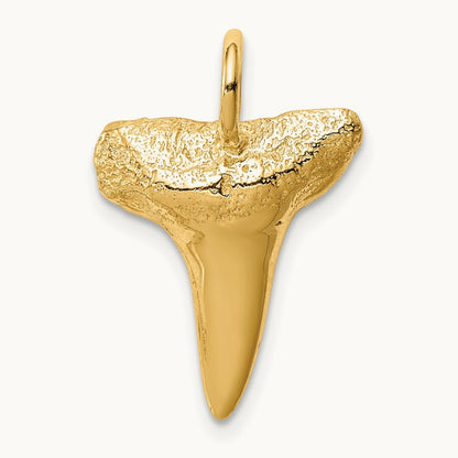 Shark Tooth Pendant, 14K