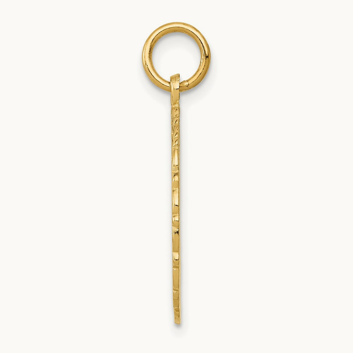 RN Registered Nurse Disc Charm, 14K