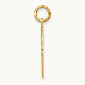 RN Registered Nurse Disc Charm, 14K