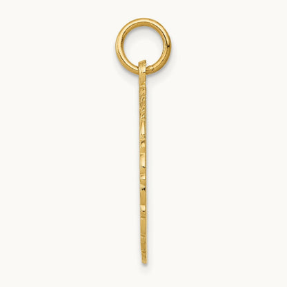 RN Registered Nurse Disc Charm, 14K