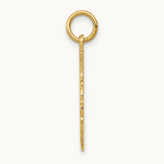 RN Registered Nurse Disc Charm, 14K