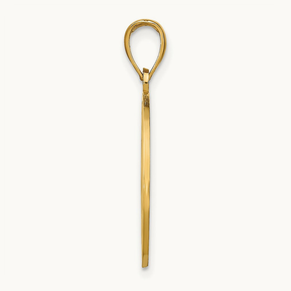 NAPLES Dolphins Pendant, 14K