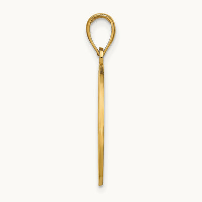 NAPLES Dolphins Pendant, 14K