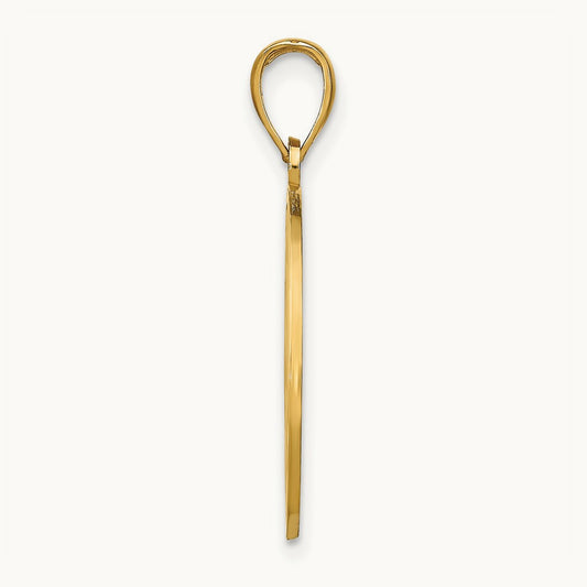 NAPLES Dolphins Pendant, 14K
