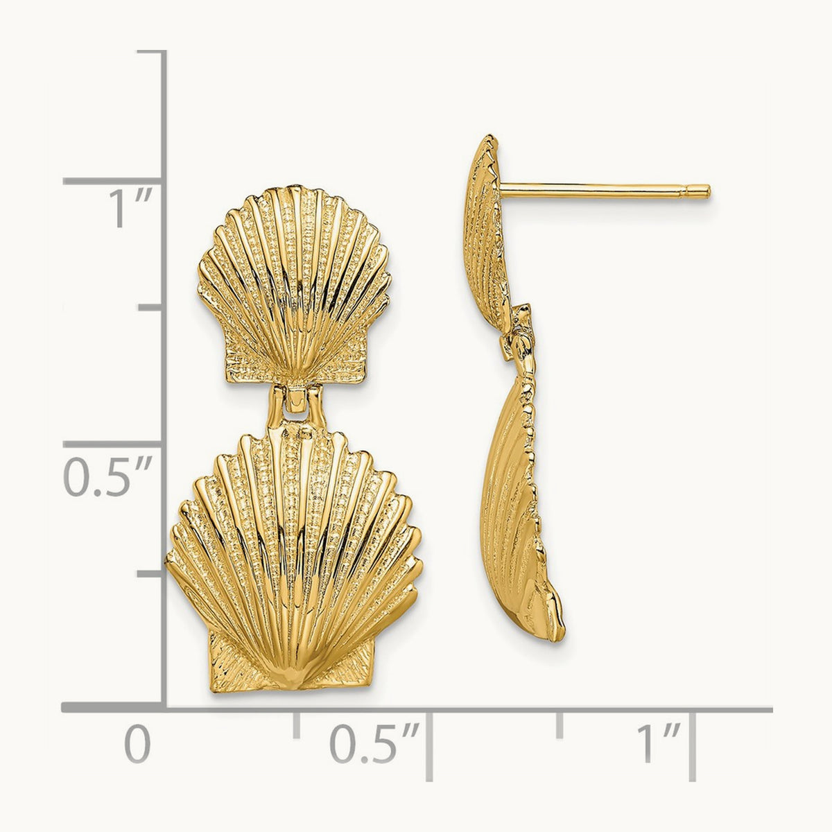 Double Scallop Shell Post Earrings, 14K