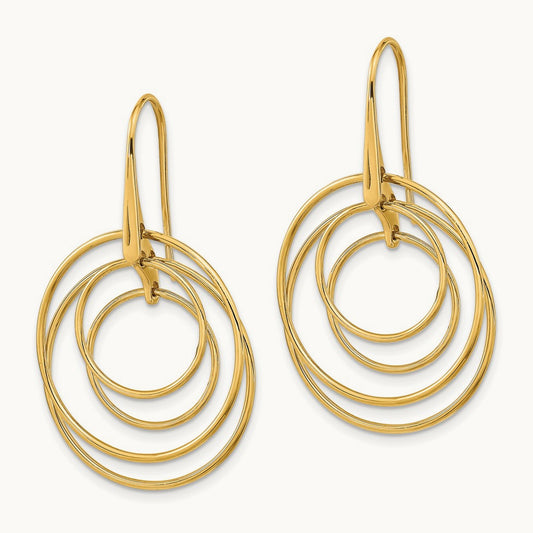 Polished Circles Dangle Earrings — photo set