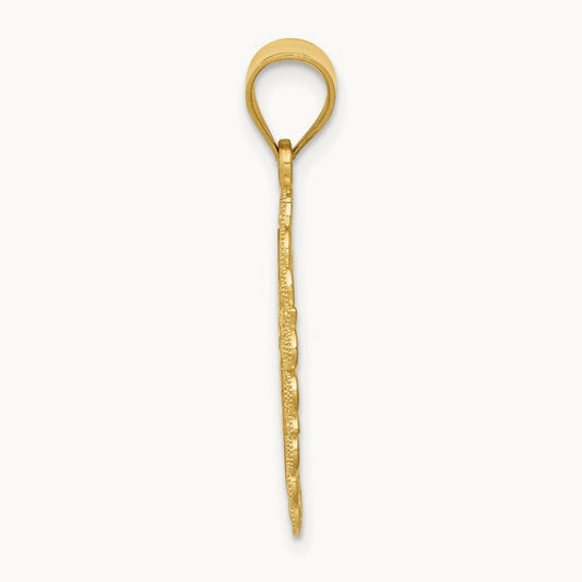 Solid Satin Polished Aquarius Zodiac Oval Pendant, 14K