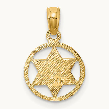 Star of David in Circle Frame Pendant, 14K