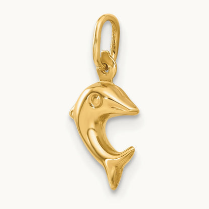 Dolphin Charm, 14K