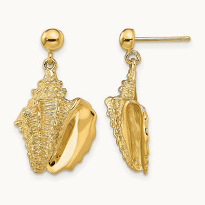 2-D Conch Shell Dangle Post Earrings, 14K