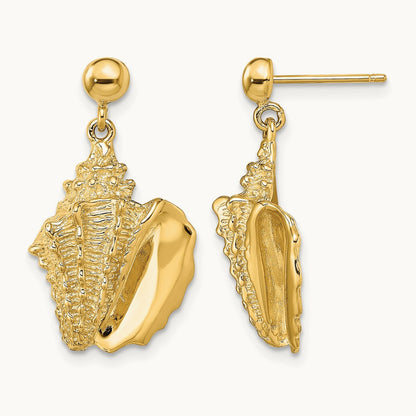2-D Conch Shell Dangle Post Earrings, 14K