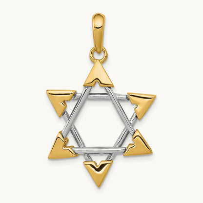 Star of David Pendant, 14K Two-tone