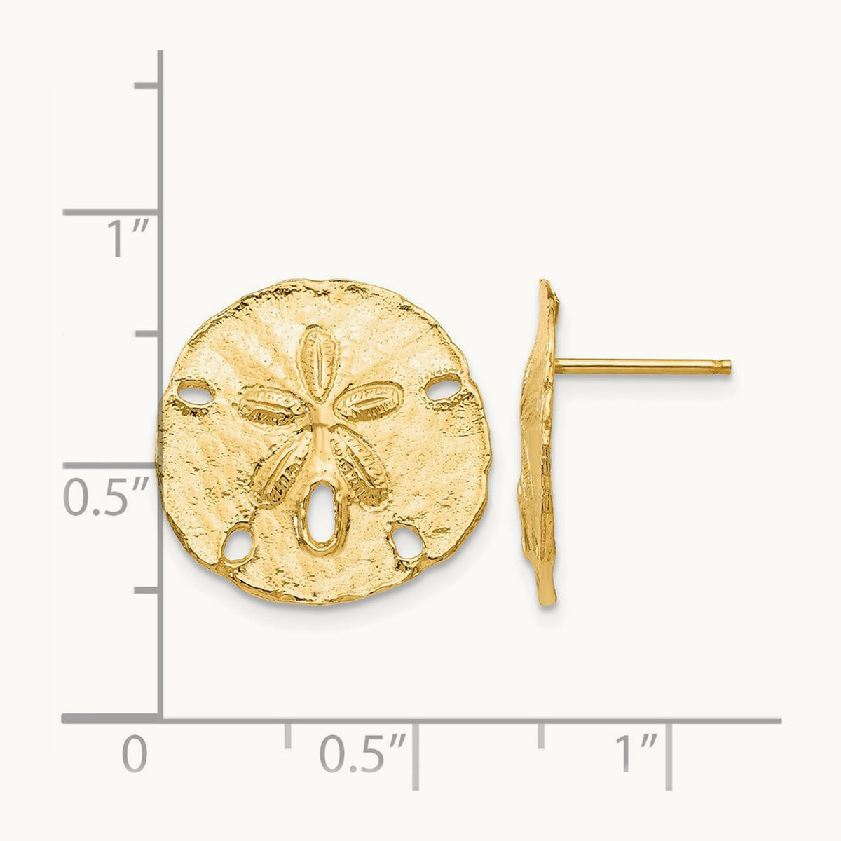 Large Sanddollar Post Earrings, 14K