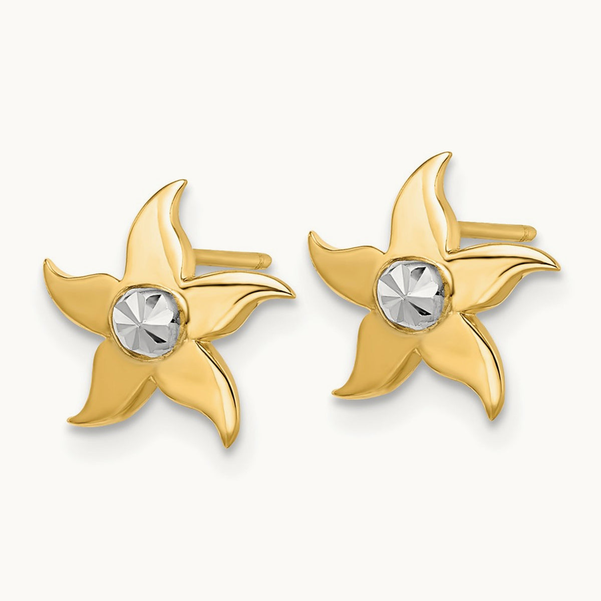w/ Starfish Post Earrings — photo set