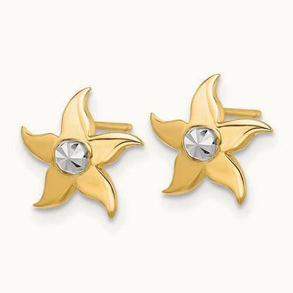 w/ Starfish Post Earrings — photo set